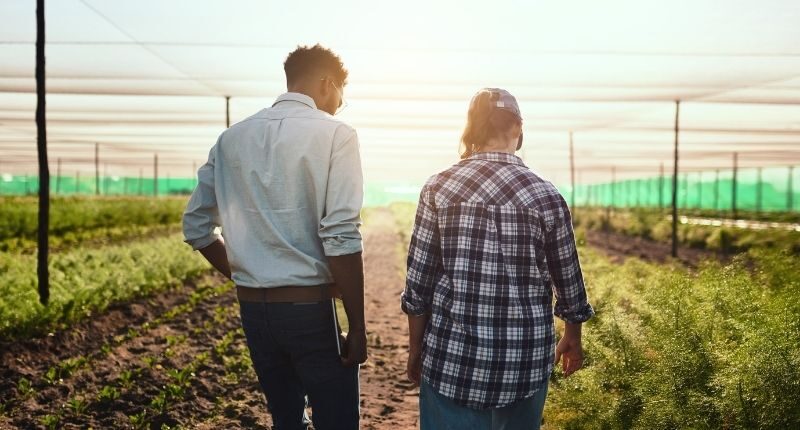 partita iva agricola