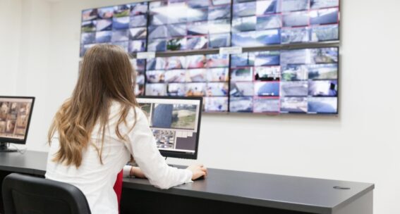 Lavorare al pc o a videoterminale: le regole per i lavoratori, i rischi e le tutele